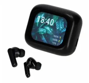 Display earbuds met ANC